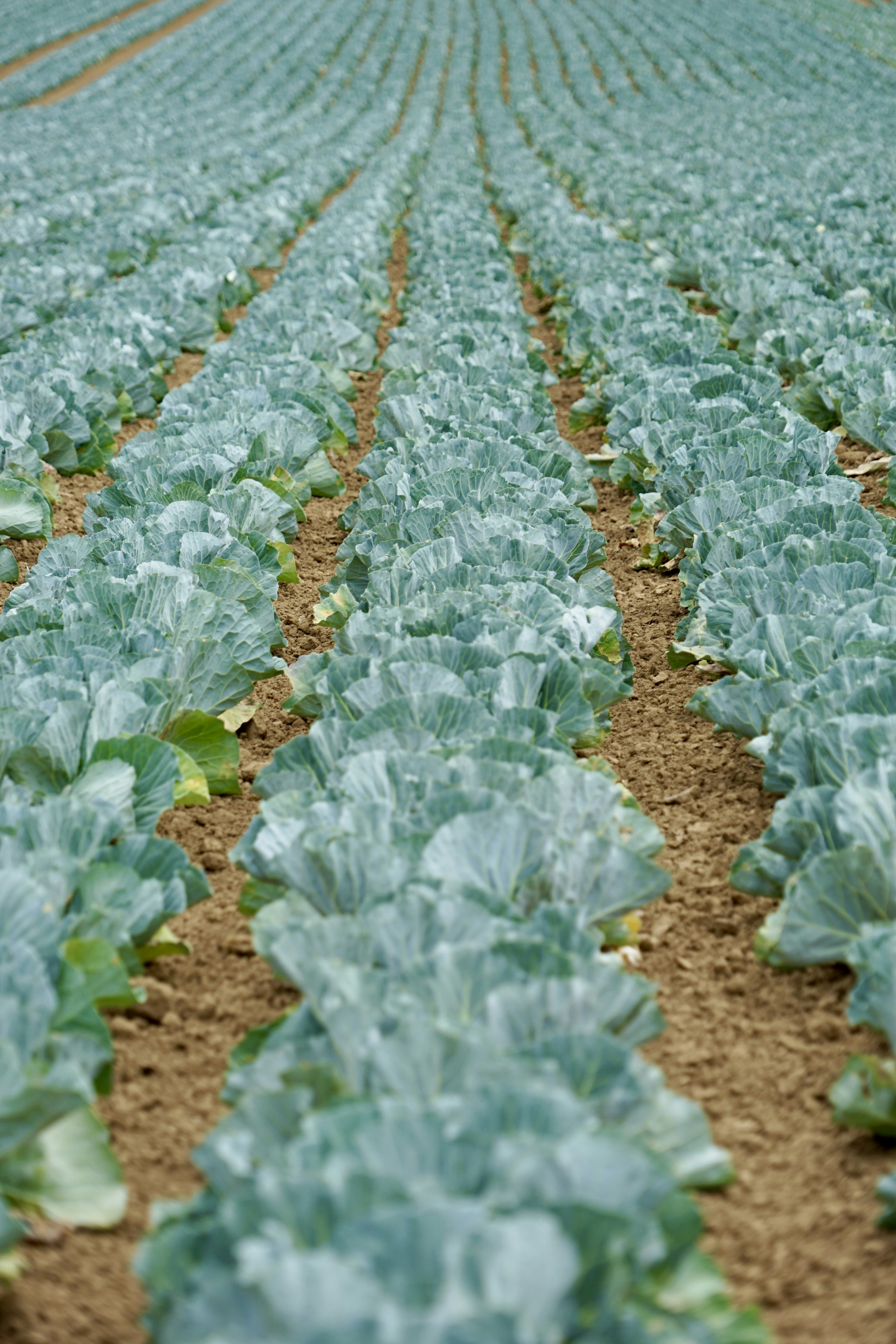 Photo by flohkeitgen