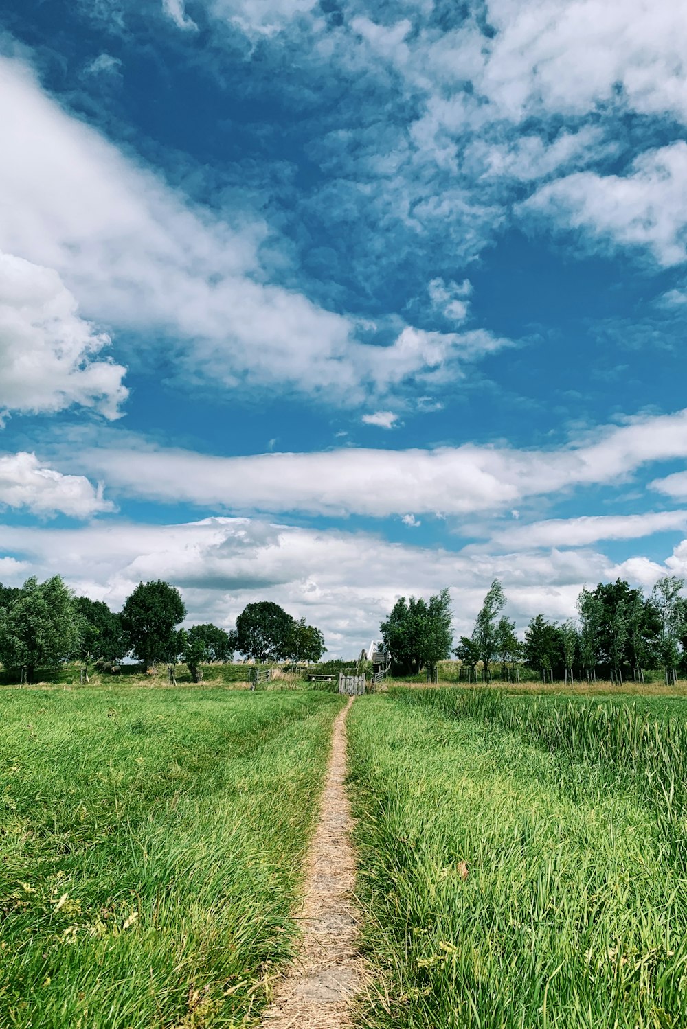 green grass field under blue sky and white clouds during daytime