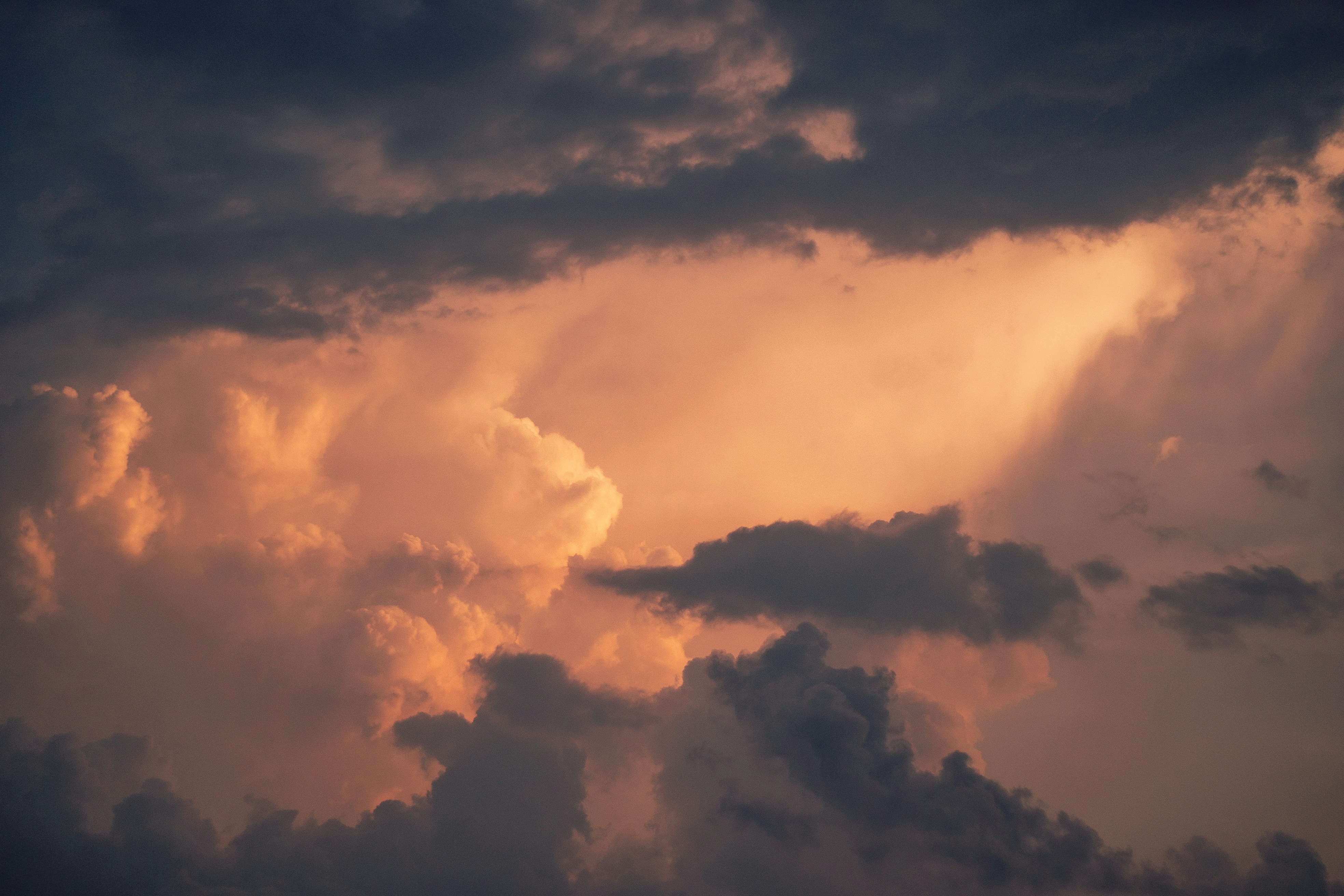 How Kevlar Stops Bullets: The Molecular Armor Revolution