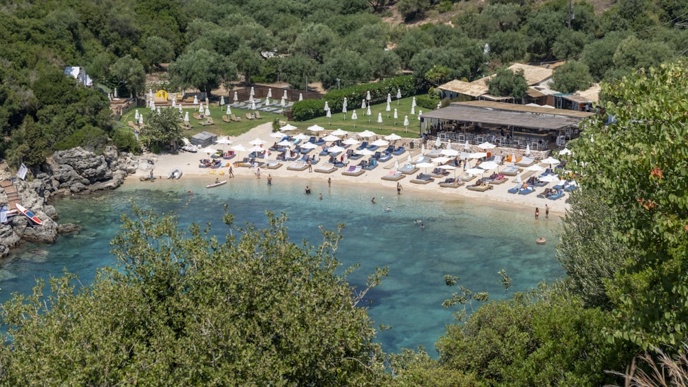 people swimming on beach during daytime