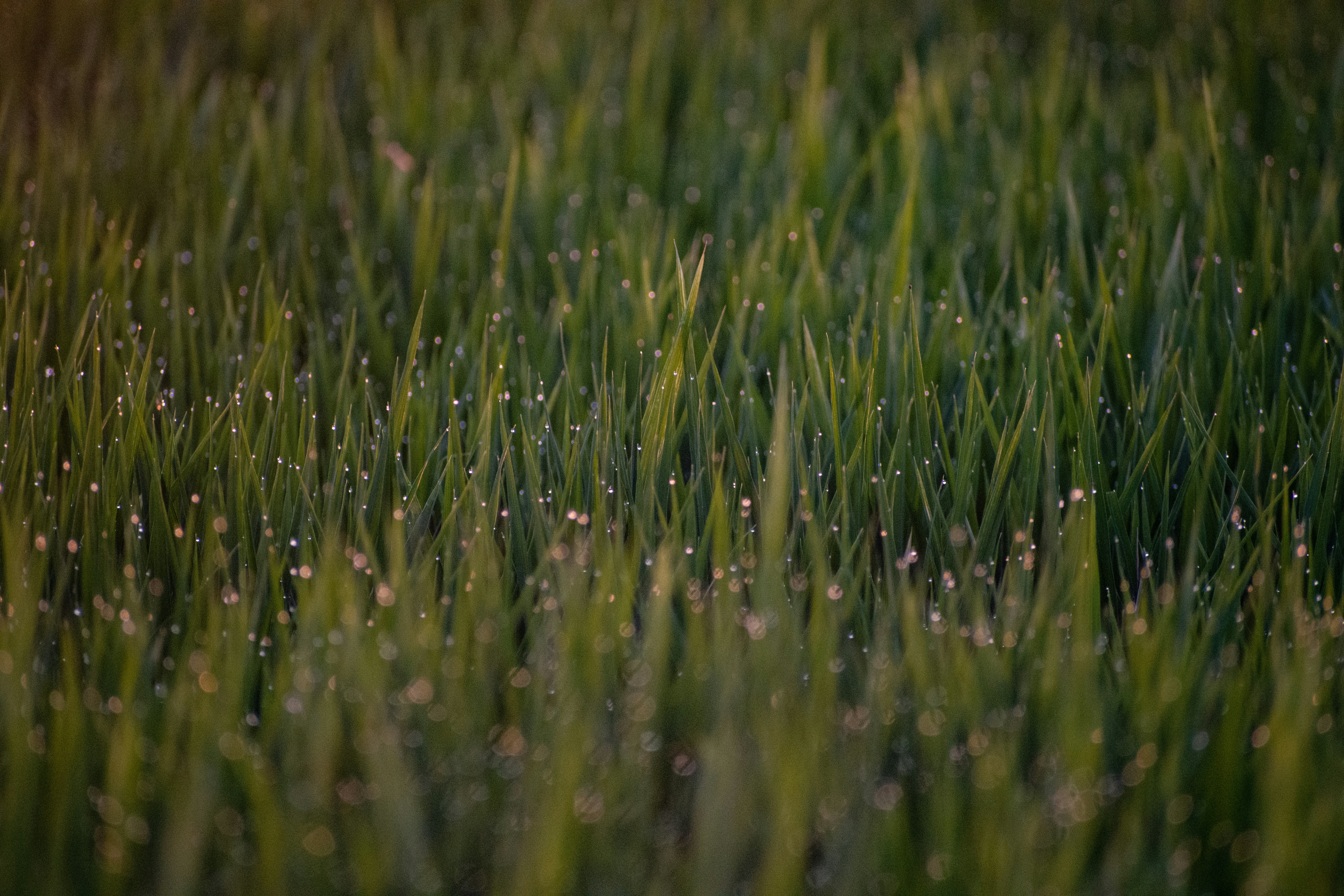 Photo by elisastonephotography