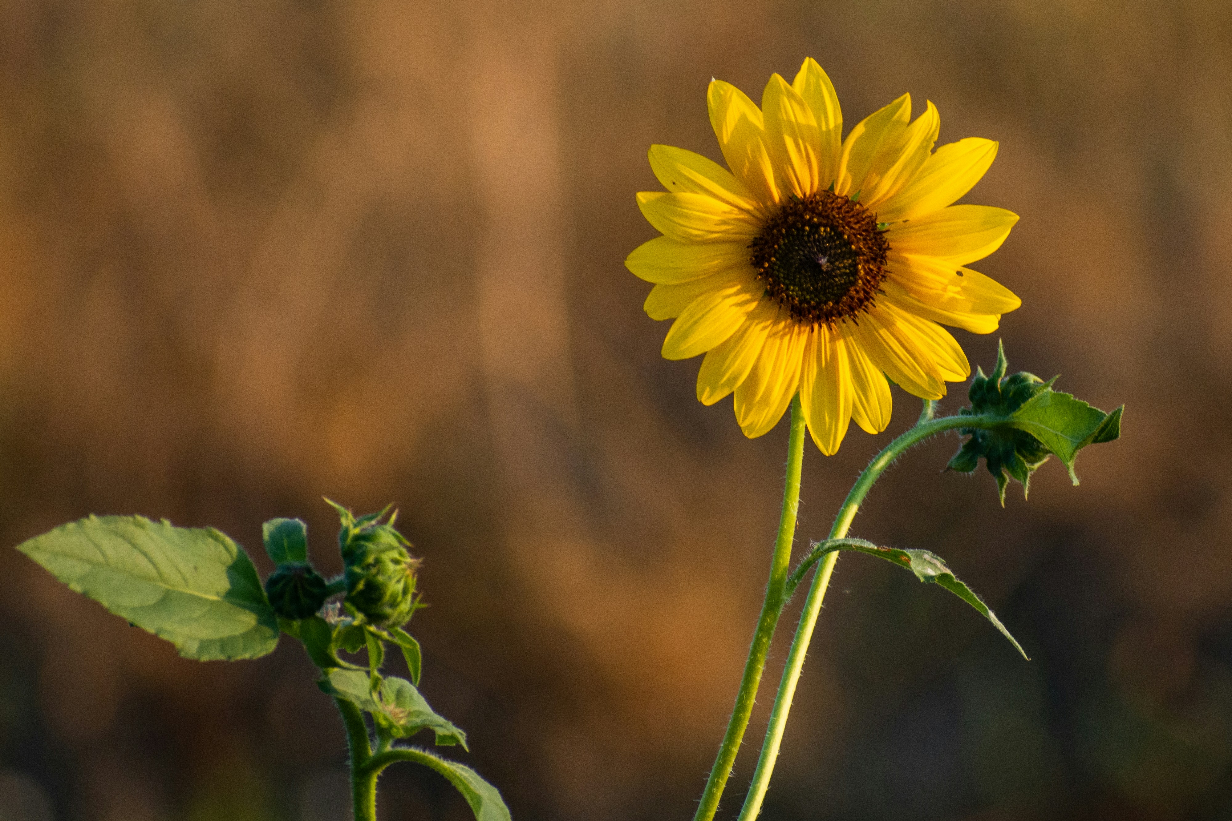 Photo by elisastonephotography