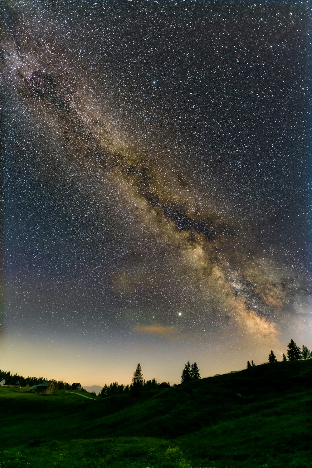 green trees under starry night