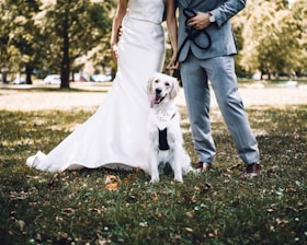 man and woman holding white short coated dog