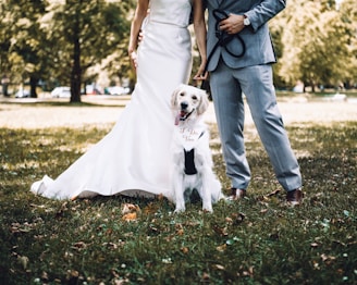 man and woman holding white short coated dog