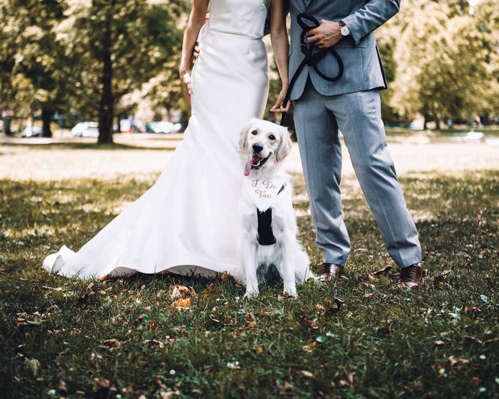 hombre y mujer sosteniendo perro blanco de pelo corto