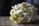 A cluster of yellow and white oyster mushrooms rest on a wooden surface. The mushrooms have delicate, ruffled edges and a smooth texture, with some of the smaller pieces curling inward. The lighting is soft, creating a moody and natural ambiance.