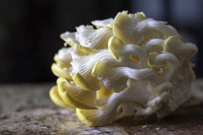 A cluster of yellow and white oyster mushrooms rest on a wooden surface. The mushrooms have delicate, ruffled edges and a smooth texture, with some of the smaller pieces curling inward. The lighting is soft, creating a moody and natural ambiance.