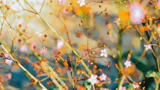 A delicate watercolor of blooming flowers in soft pastel tones.