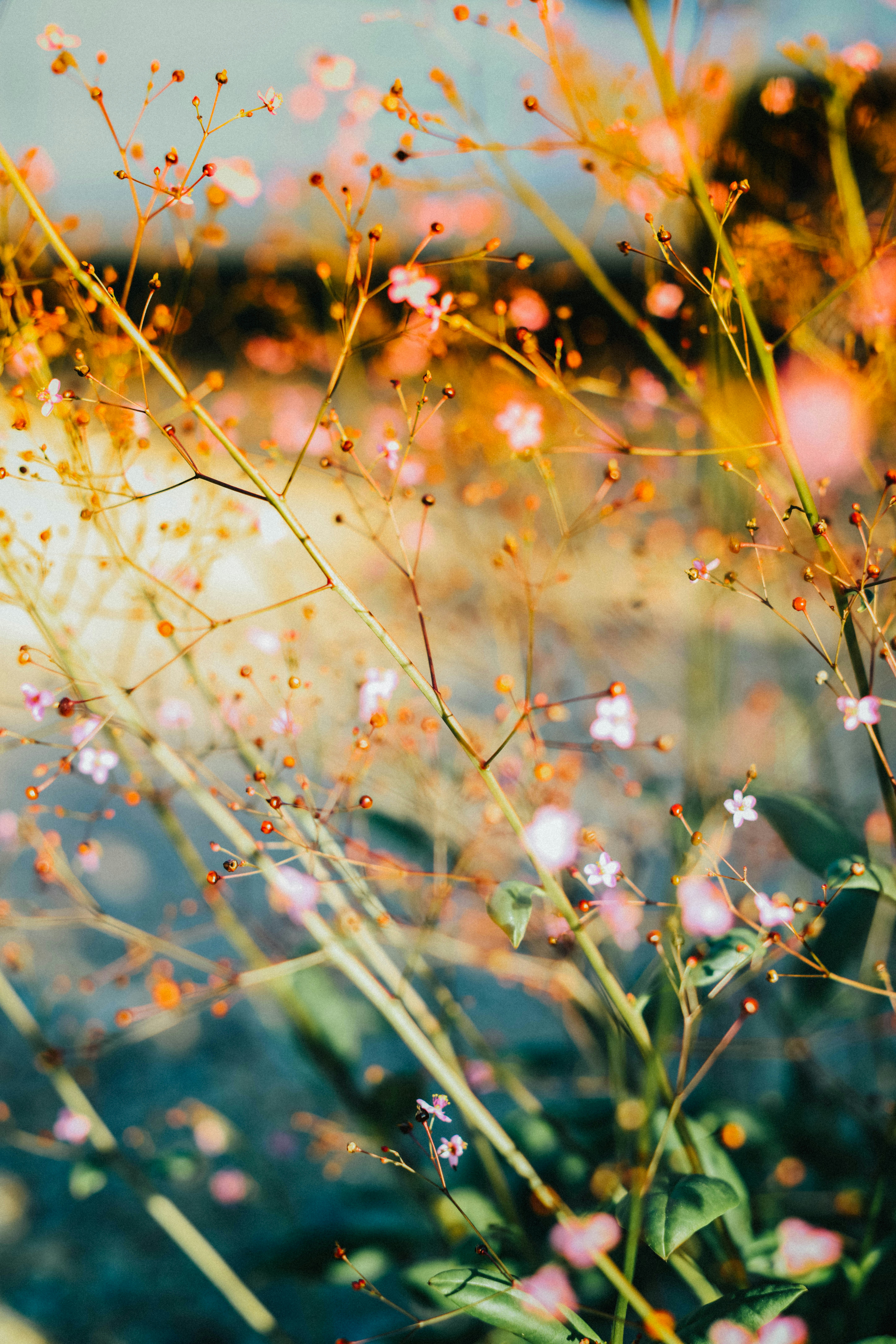 Photo by jessedpoole