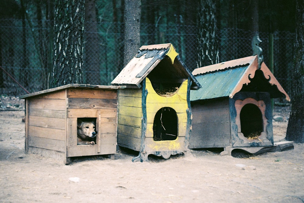 Braunes Holzhaus inmitten eines schneebedeckten Bodens