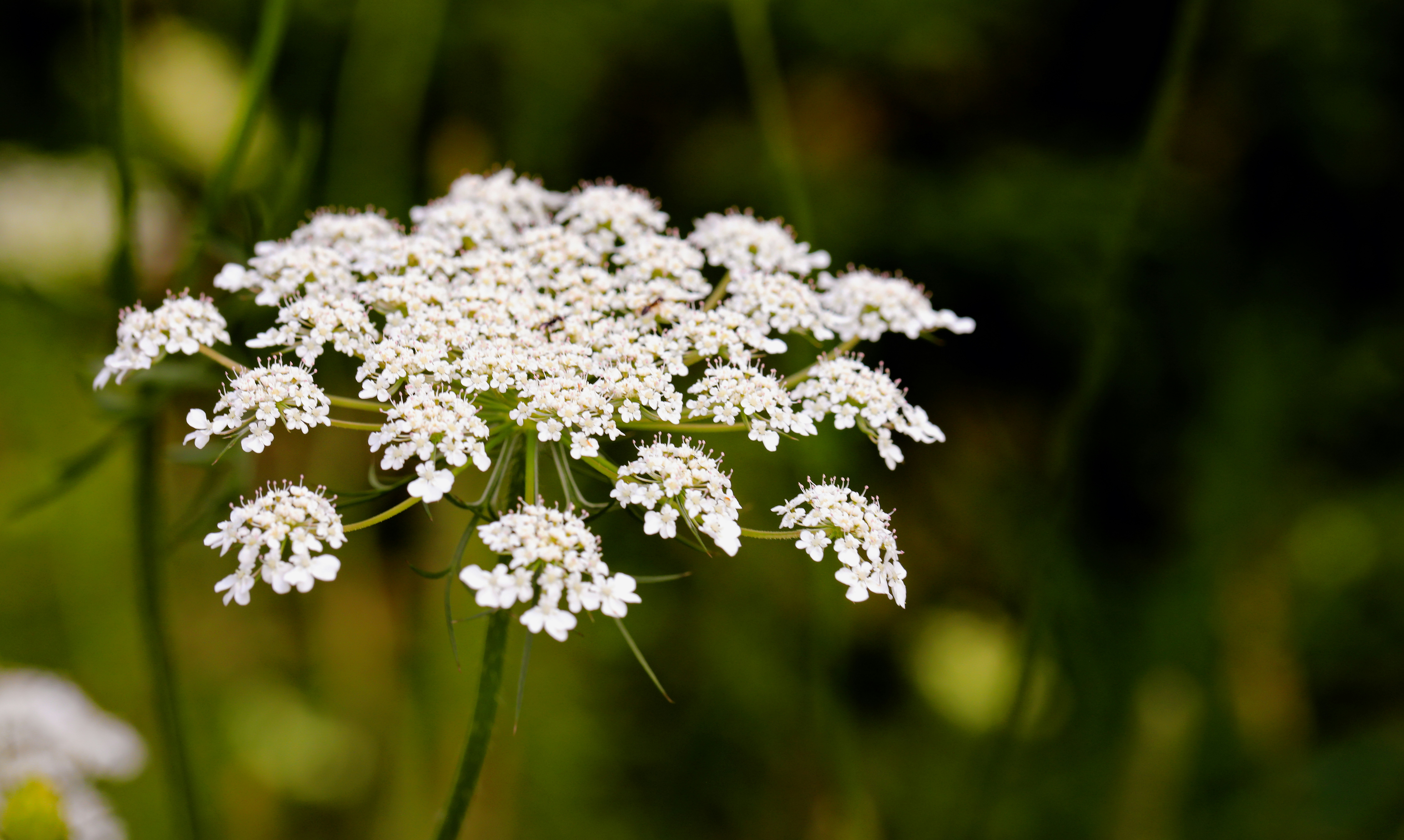 Photo by michaelbweidner