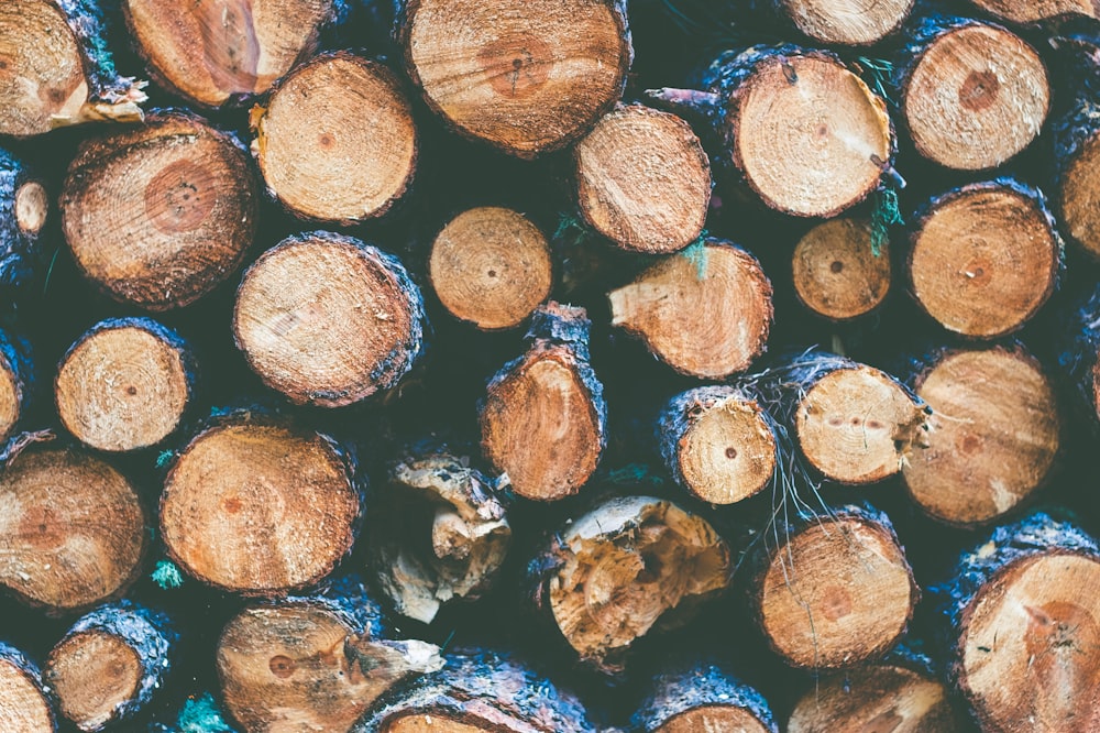 brown and black wood logs