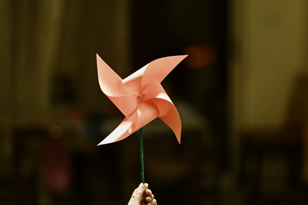 red and white paper flower