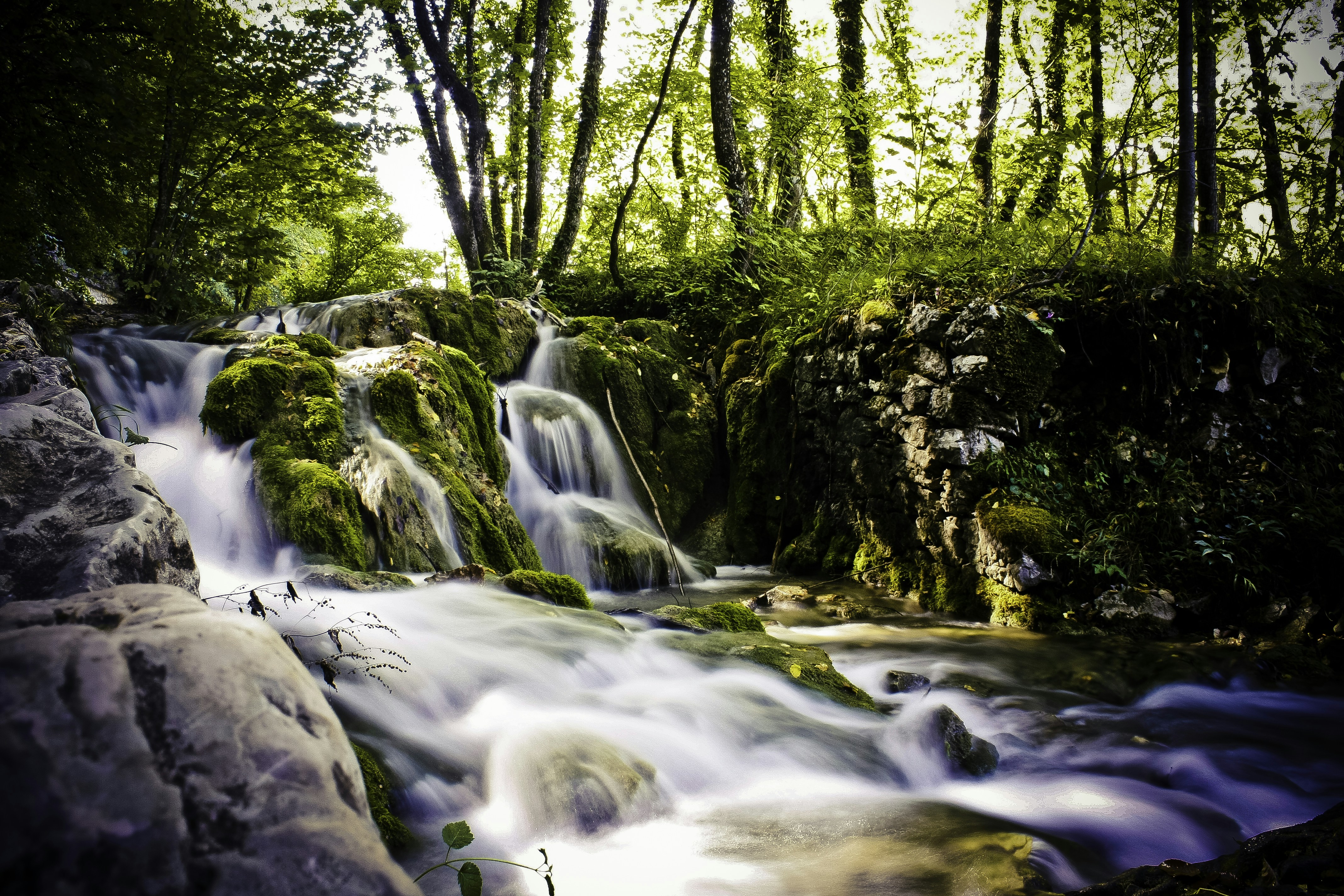 Photo by zrktty