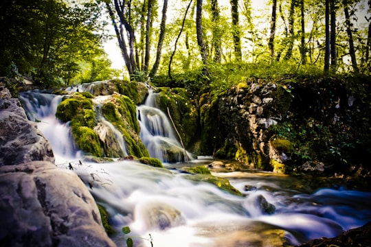 water falls in the middle of the forest in Plitvička Jezera Croatia