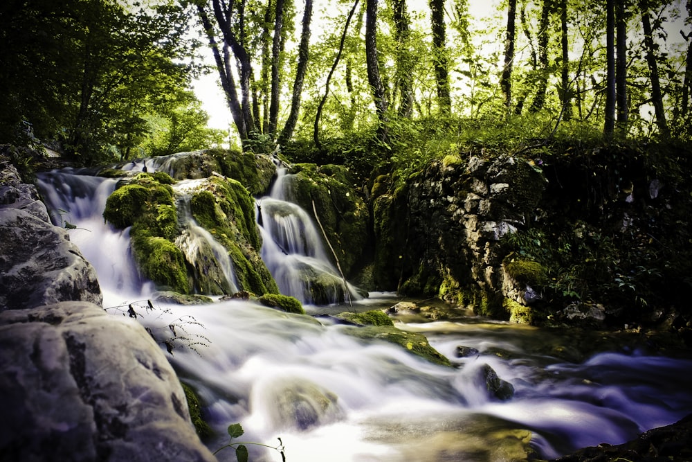 water falls in the middle of the forest