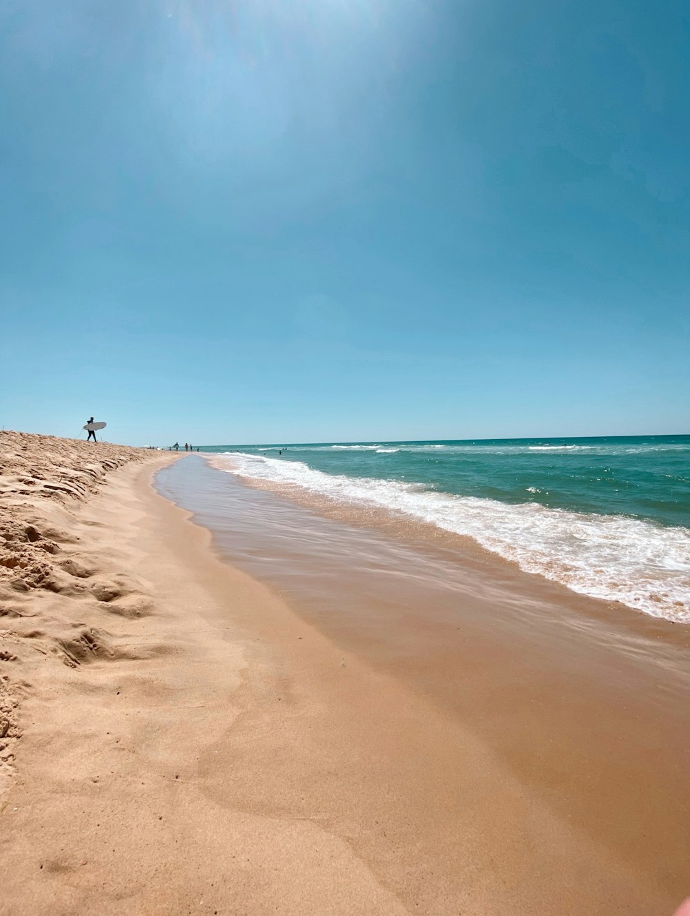 people on beach during daytime