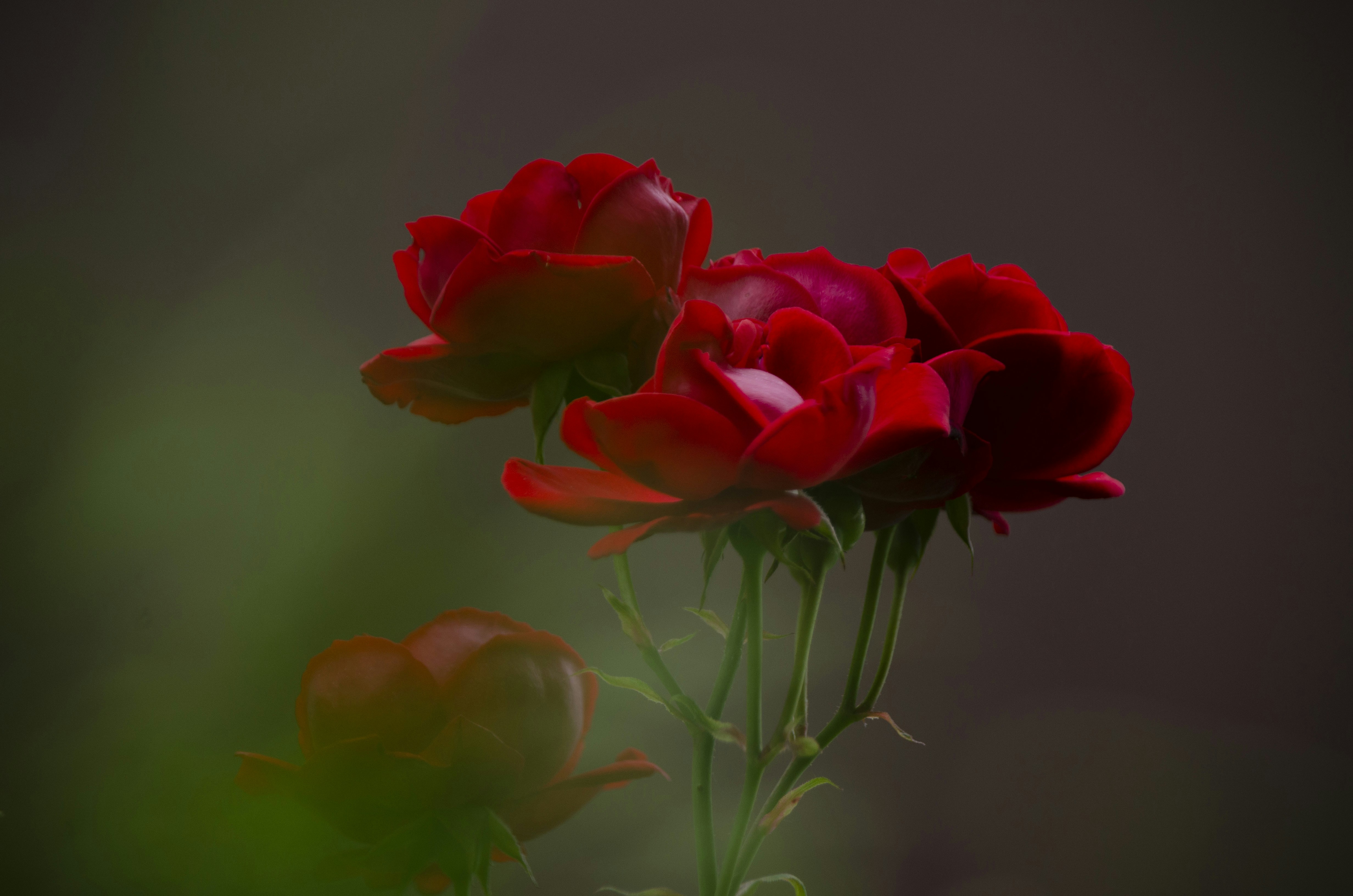 Photo by photoroadway