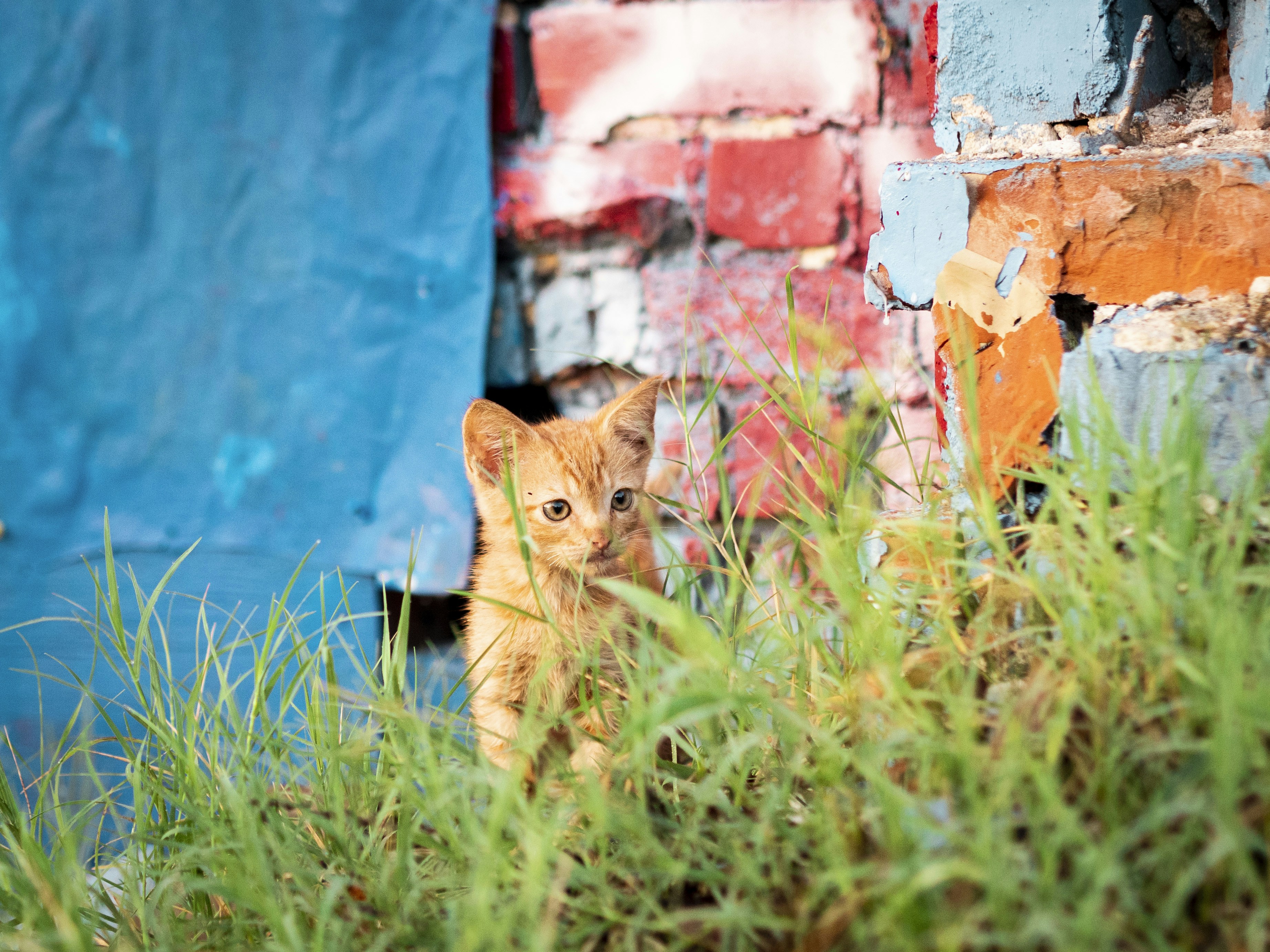 Photo by pedrotheartist