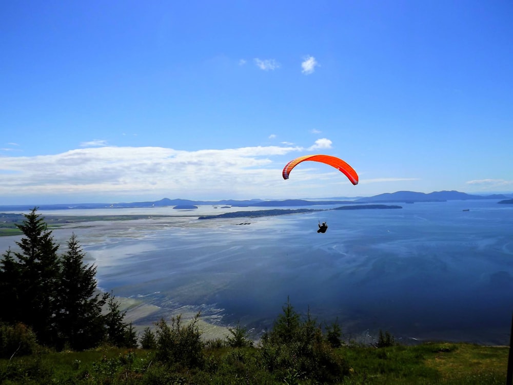 orange parachute over green trees during daytime