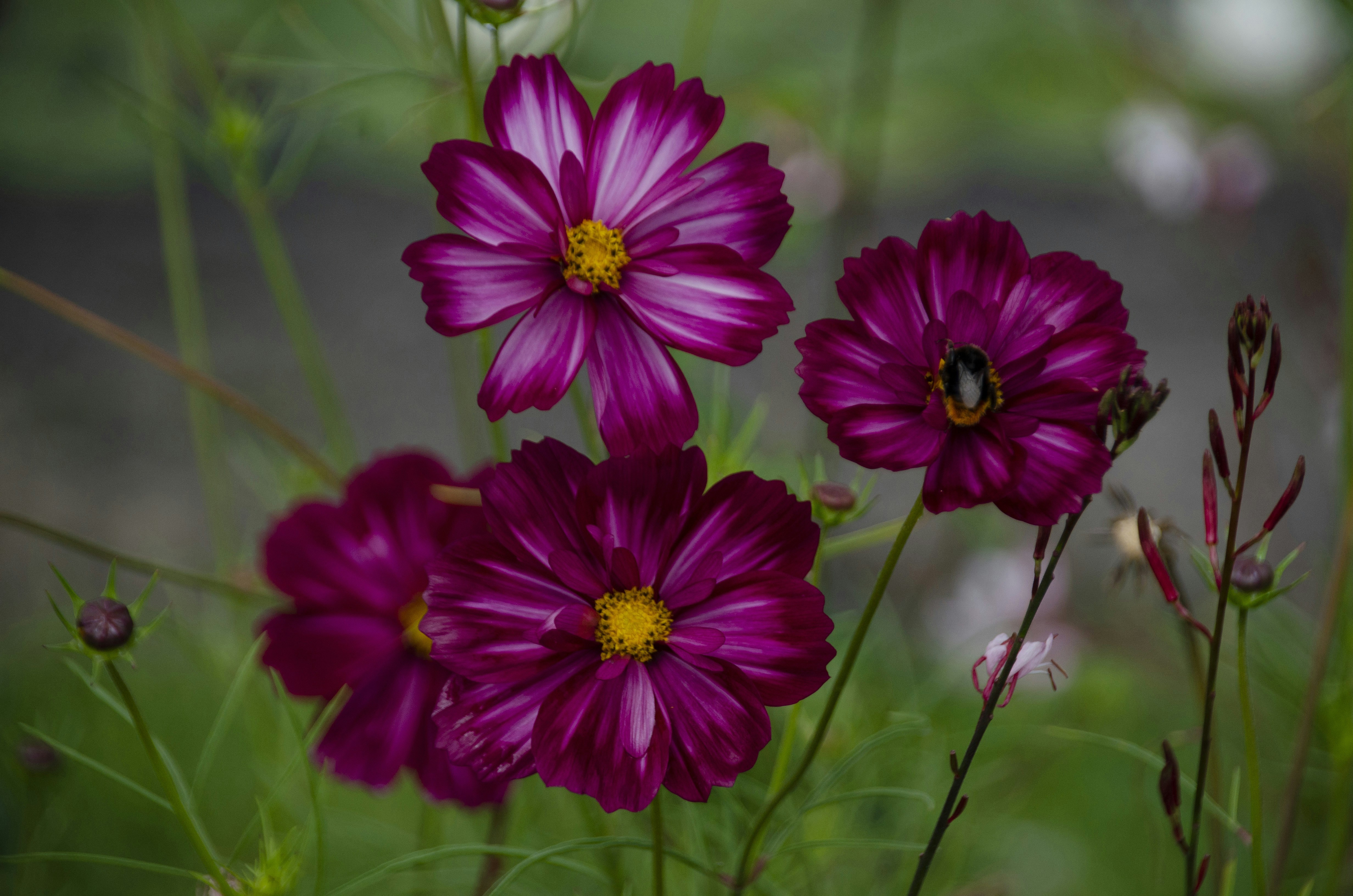 Photo by photoroadway