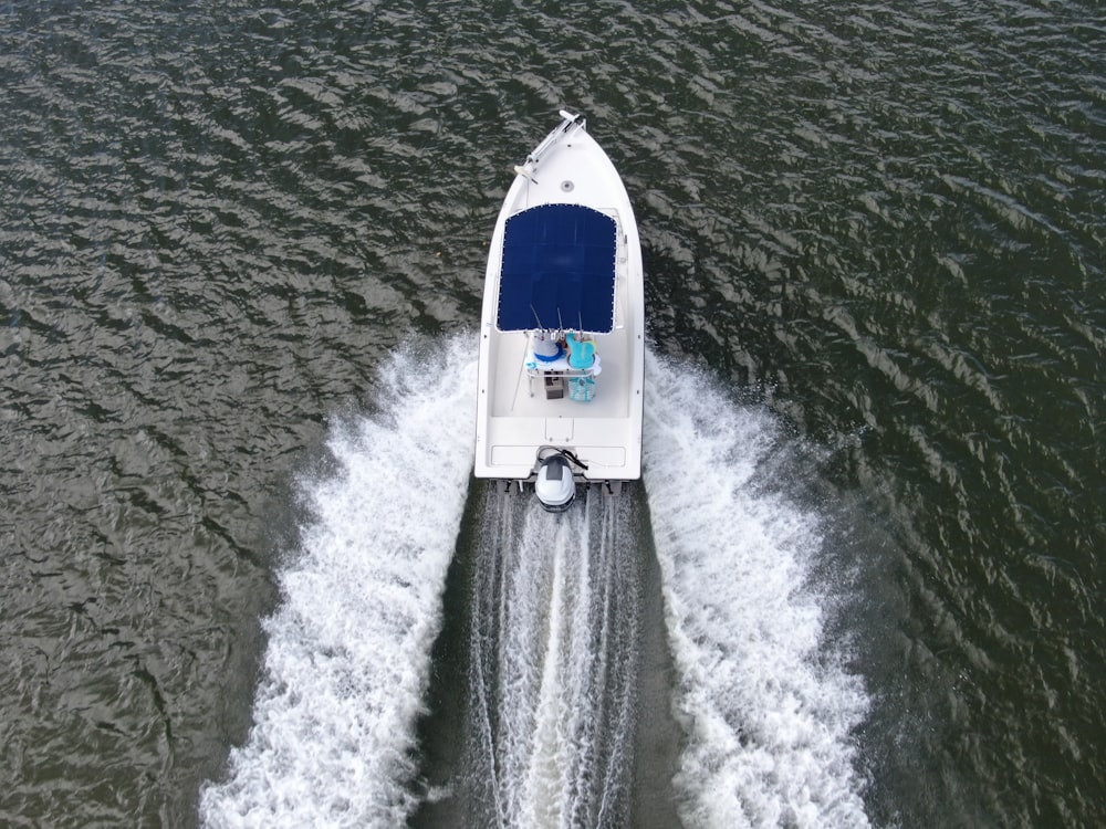 white and blue boat on body of water during daytime