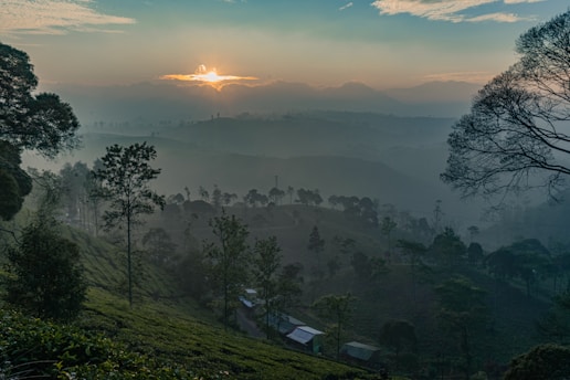 green trees and mountains during sunrise