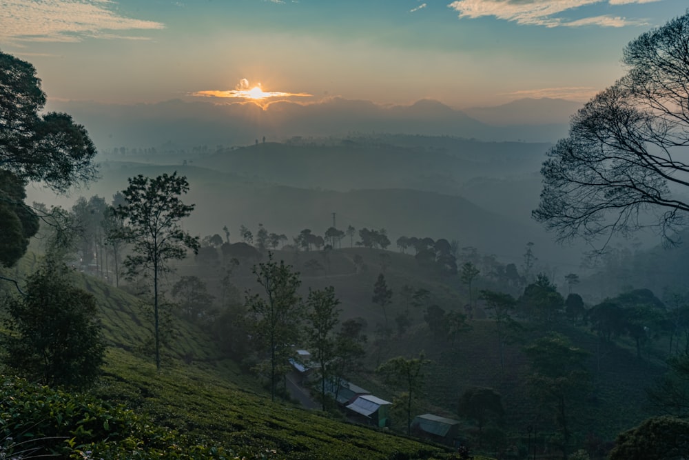 green trees and mountains during sunrise