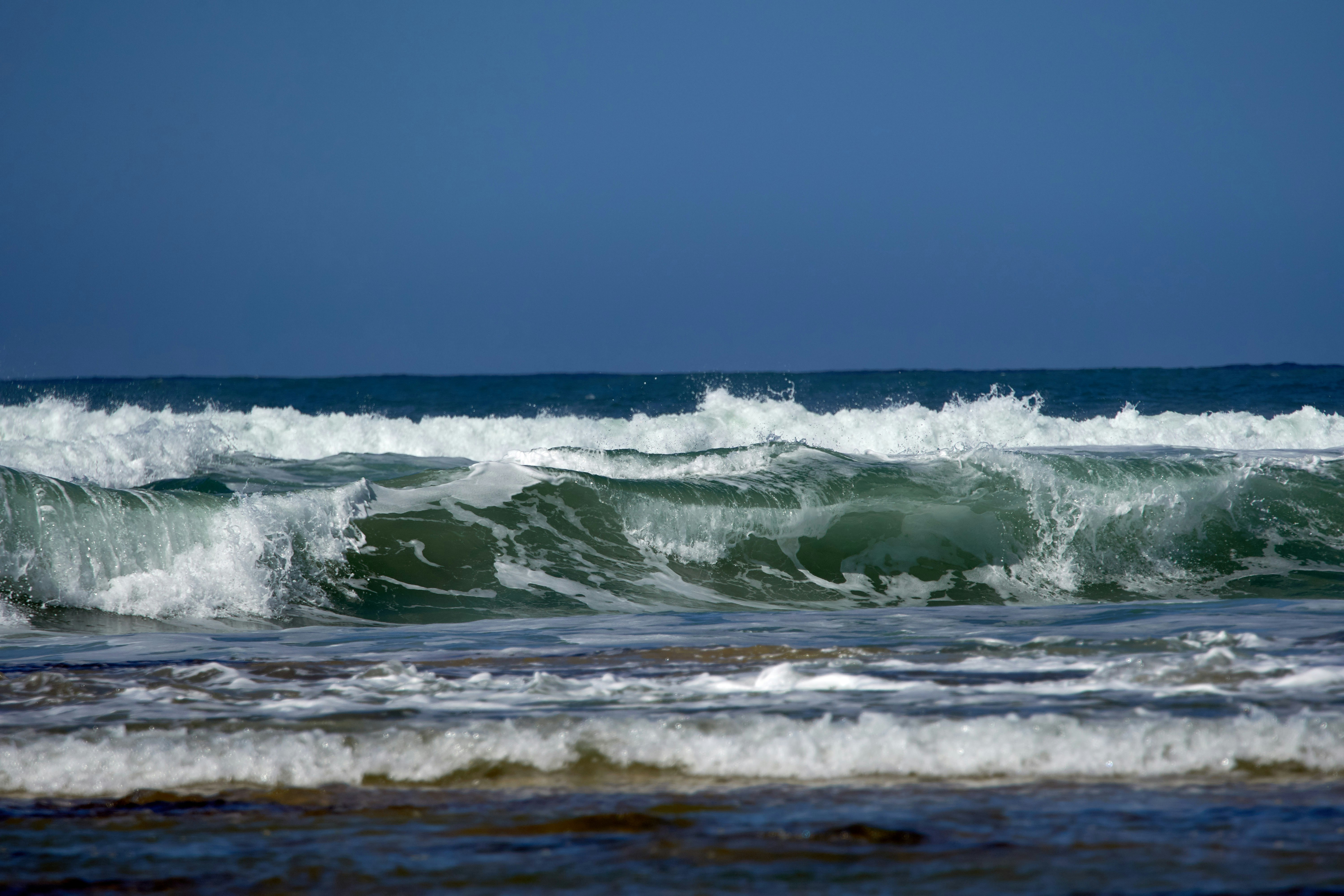 Photo by wolfgang_hasselmann