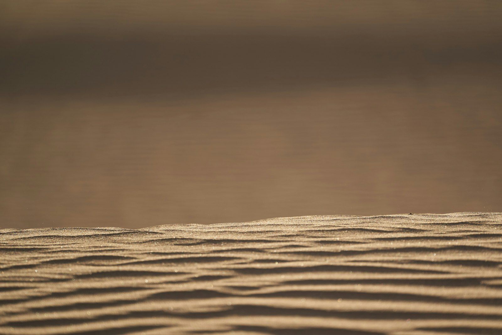 Sony a7 III + Sony FE 70-300mm F4.5-5.6 G OSS sample photo. Brown sand in close photography