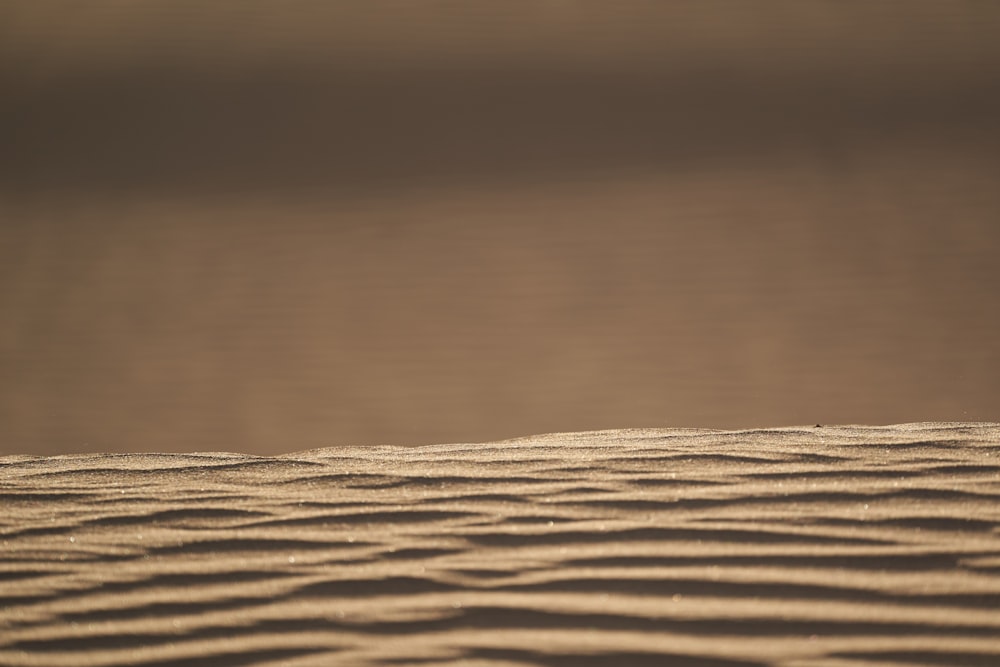 brown sand in close up photography