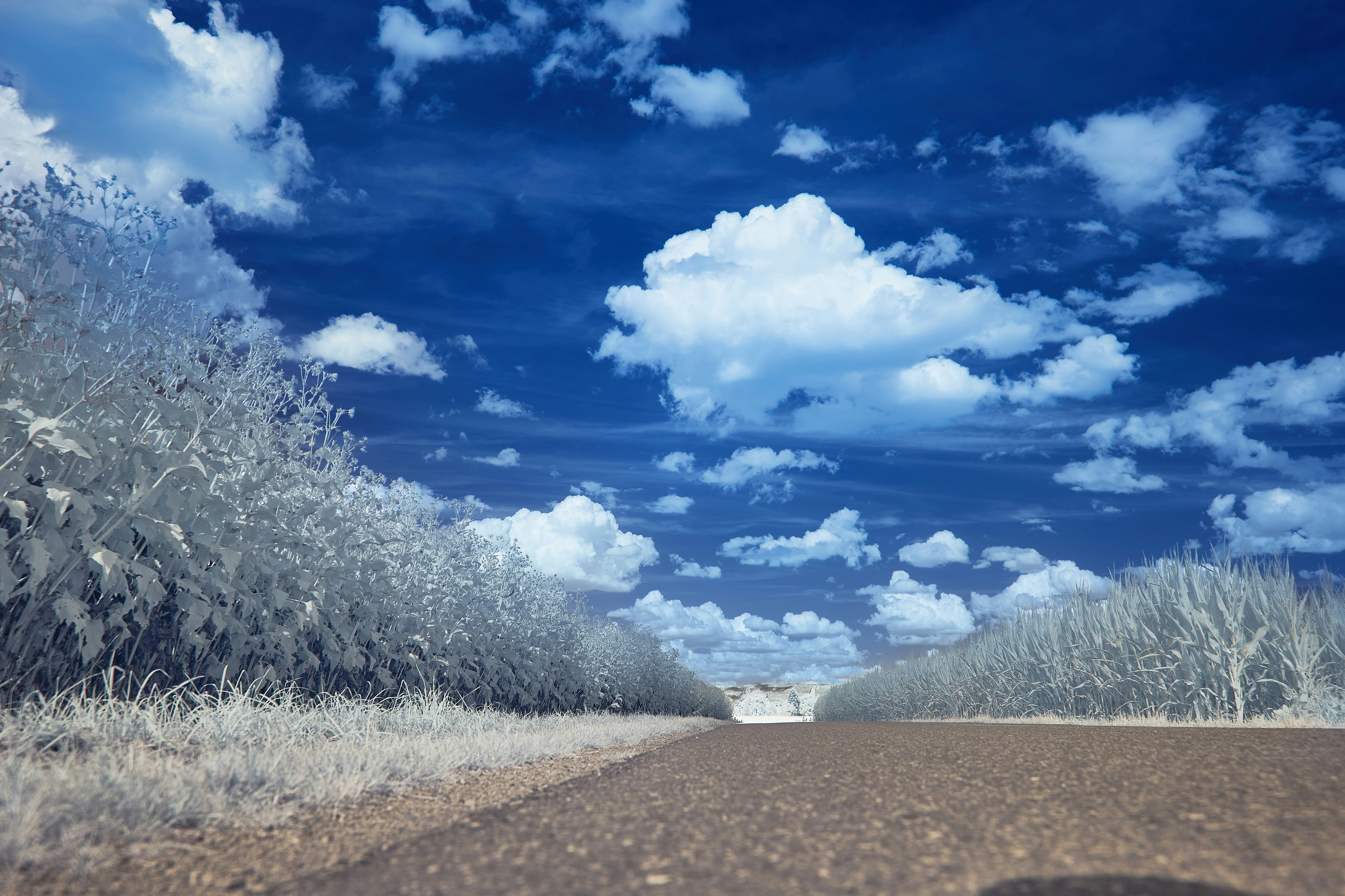 Photo by wolfgang_hasselmann