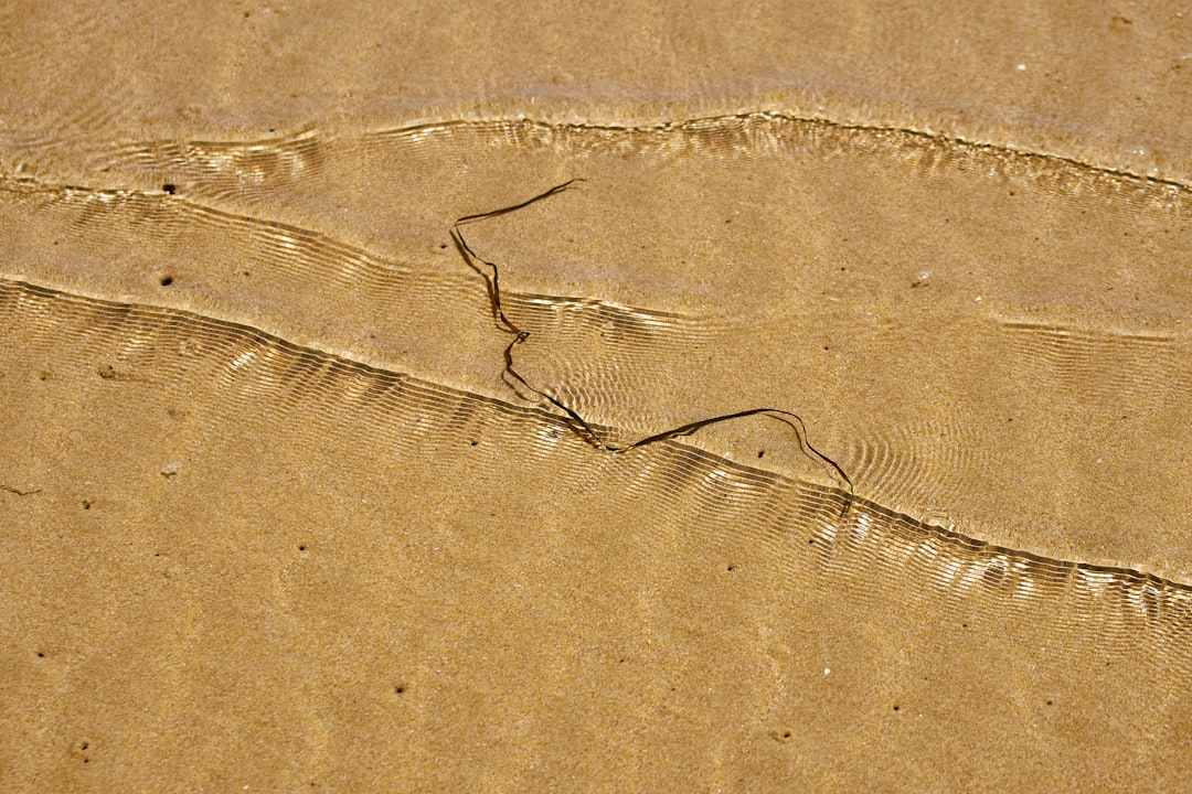 white and black rope on brown sand