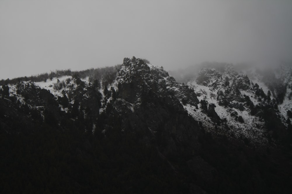 green trees on mountain during daytime