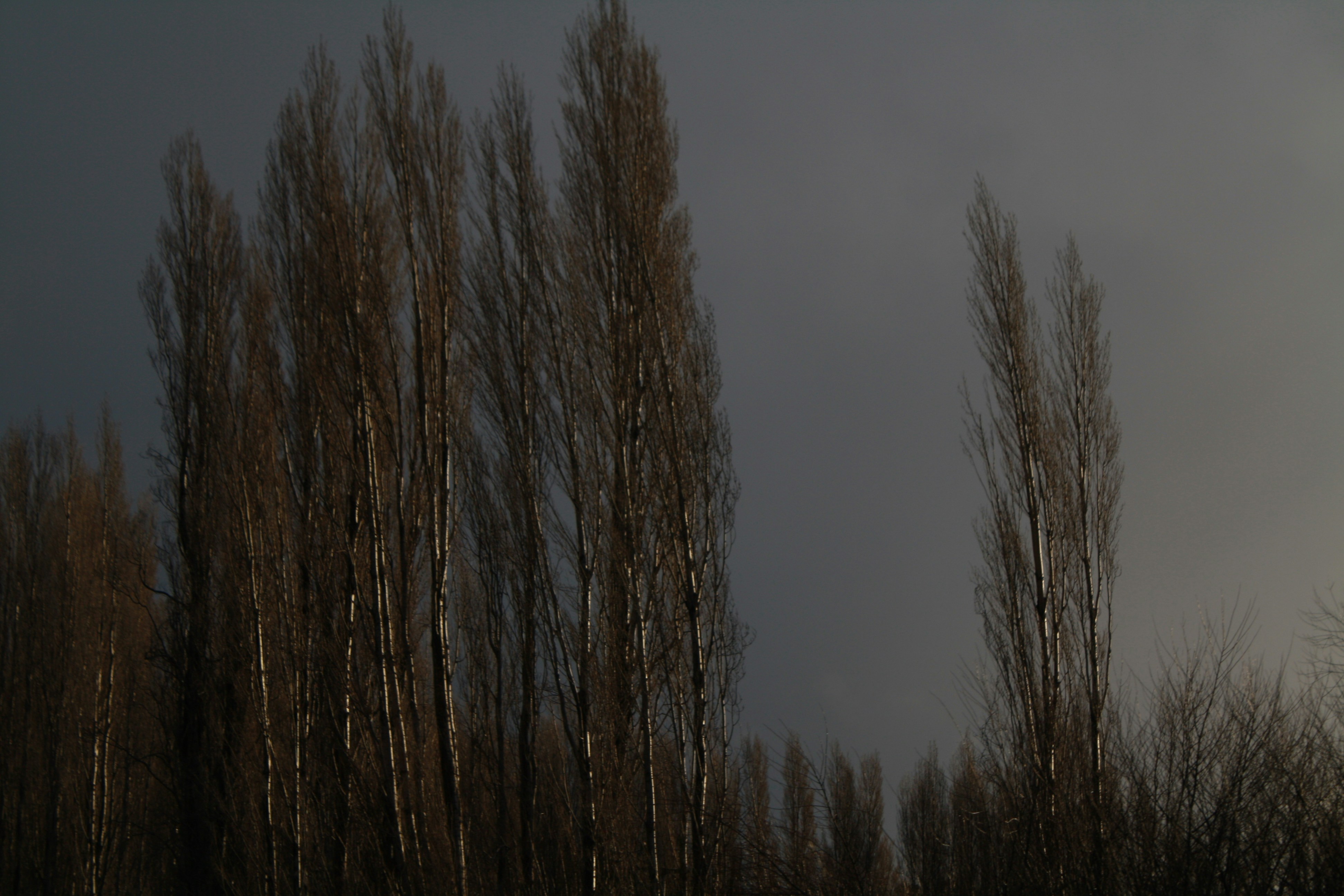 Photo by ketzijjguerra