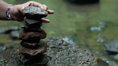 Close-up of hands carefully placing stones to stabilize the riverbank.