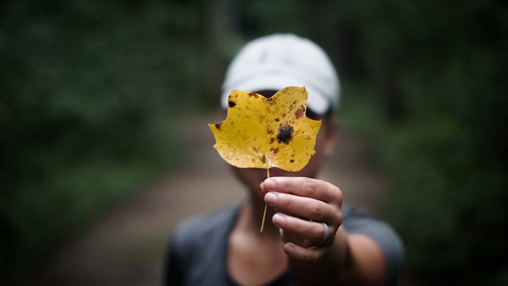 person holding yellow maple leaf