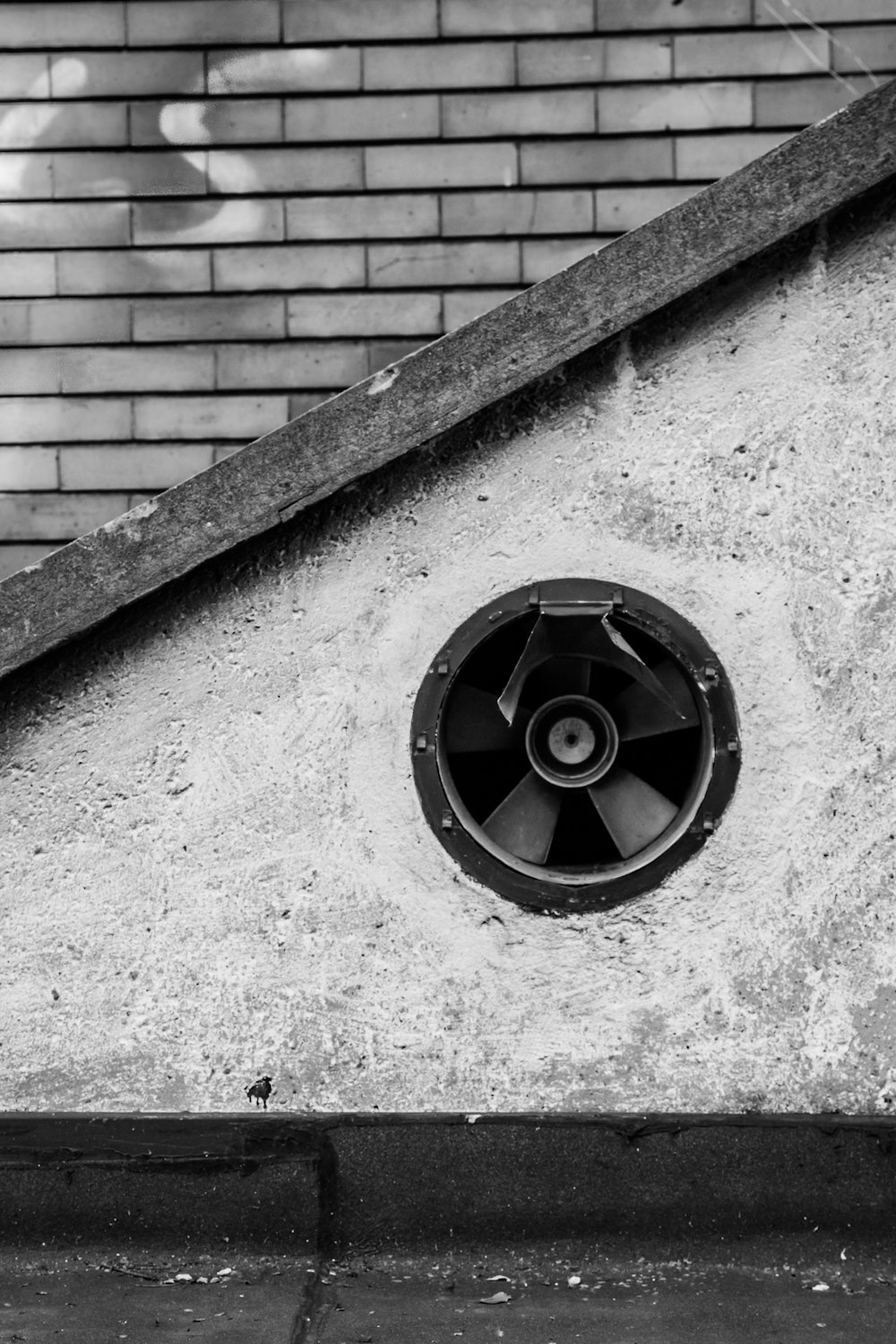 black 5 spoke wheel on concrete wall
