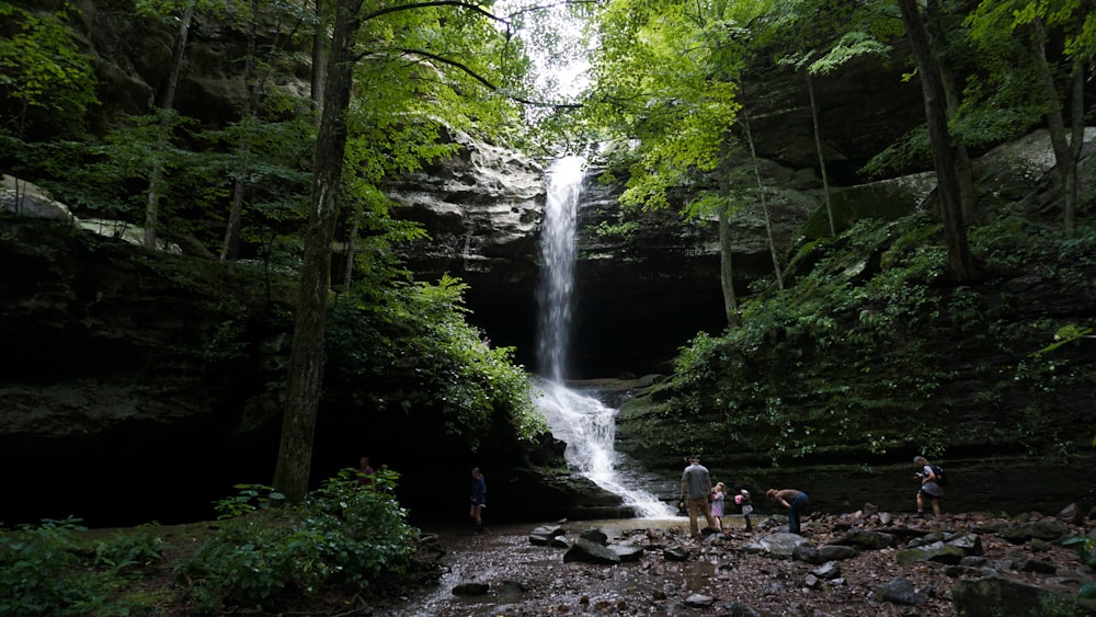 people in the forest with waterfalls