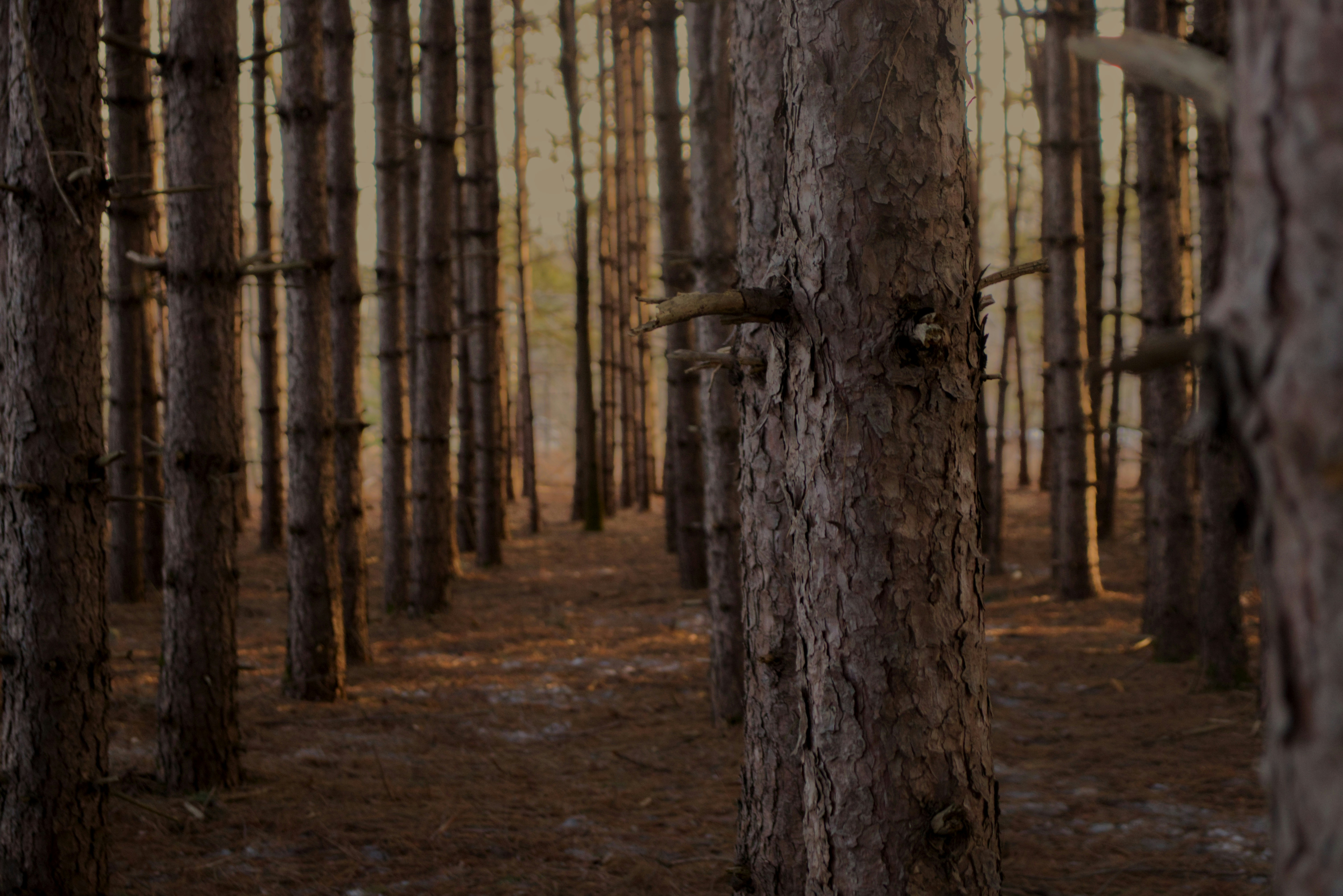 Photo by canon_christi