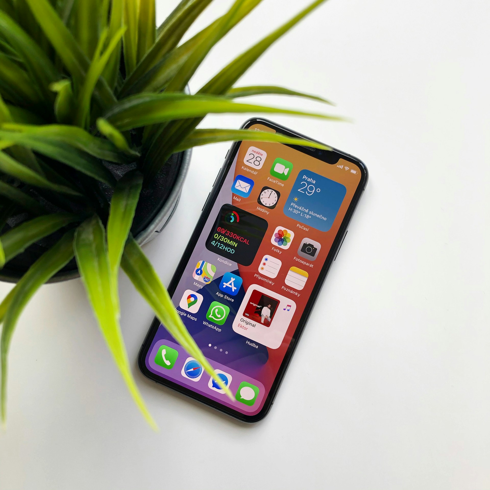 black and white bed linen