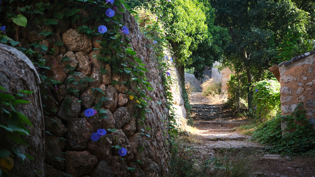 Exploring the beautiful hidden paths and trails in the Serra de Tramuntana in Mallorca, Spain. 