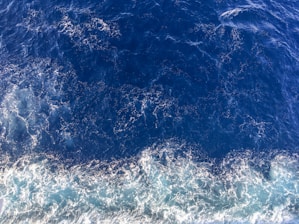 Deep blue ocean water with visible waves and white foam along the surface, creating a dynamic and fluid pattern.