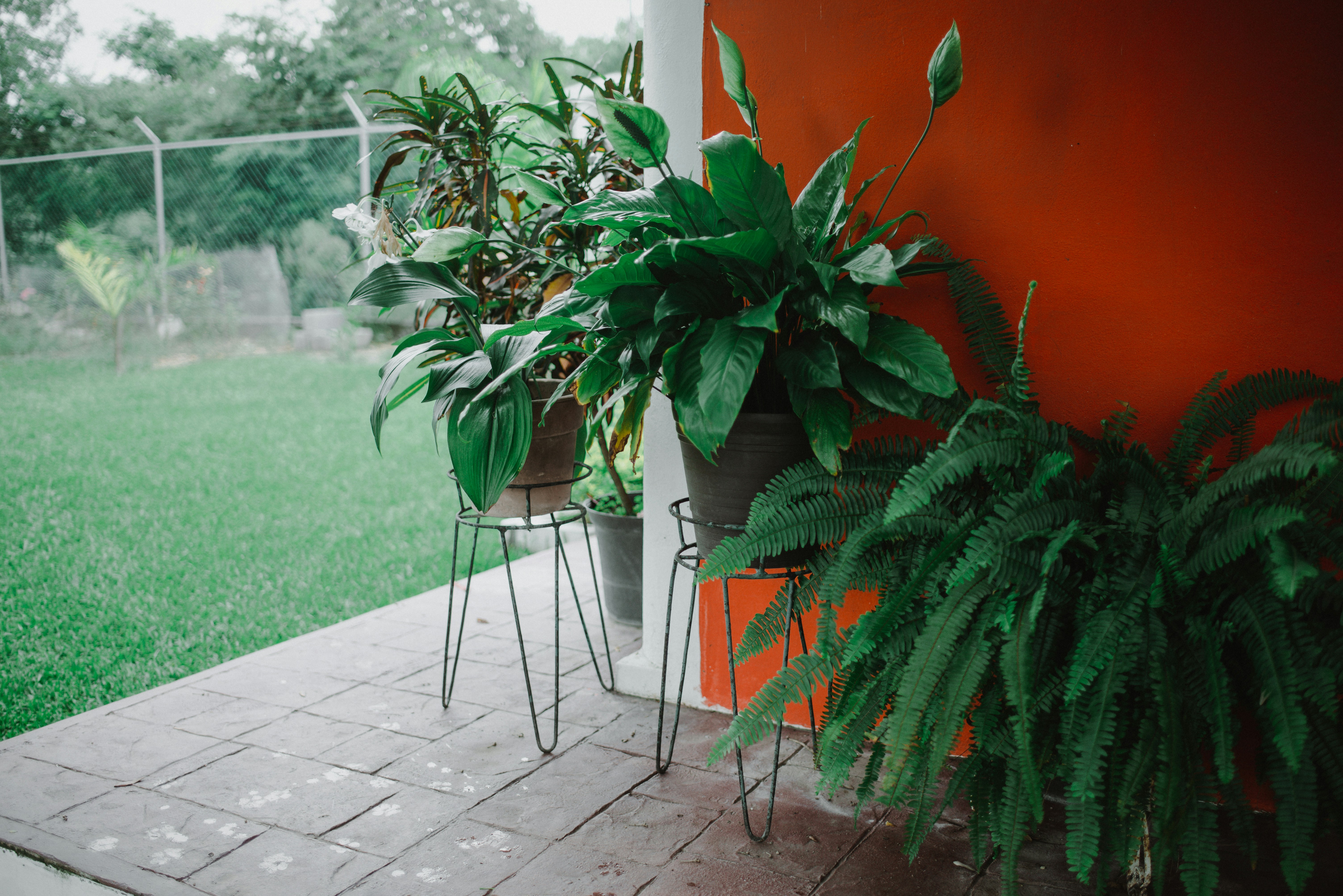 Photo by cesiraalvarado