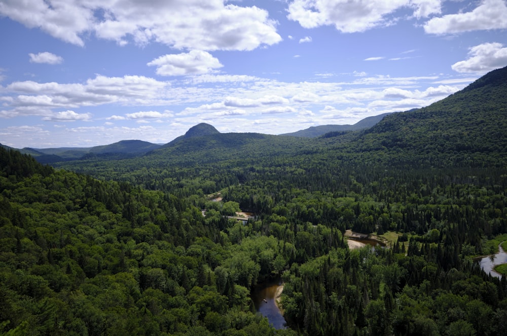 green trees and mountains under blue sky and white clouds during daytime