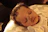 A peacefully sleeping baby with curly hair rests on a cushion decorated with cartoon elephant patterns. The soft lighting casts a warm, golden glow over the scene.