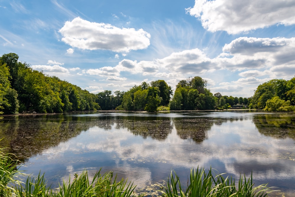 green trees beside lake under blue sky and white clouds during daytime