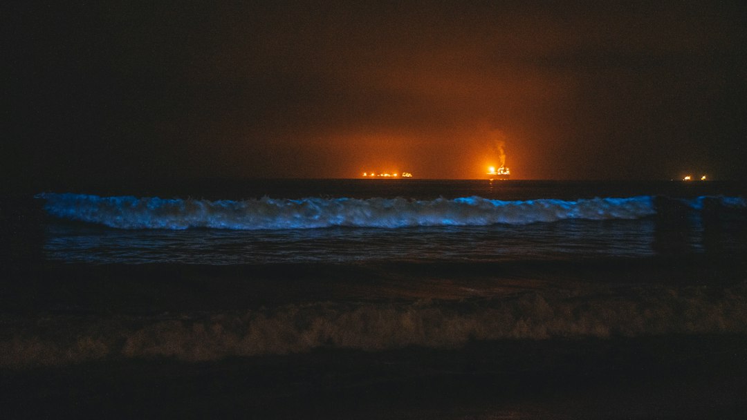 9 Breathtaking Spots to Witness Nature's Bioluminescent Magic - Mal… — 9 Breathtaking Spots to Witness Nature's