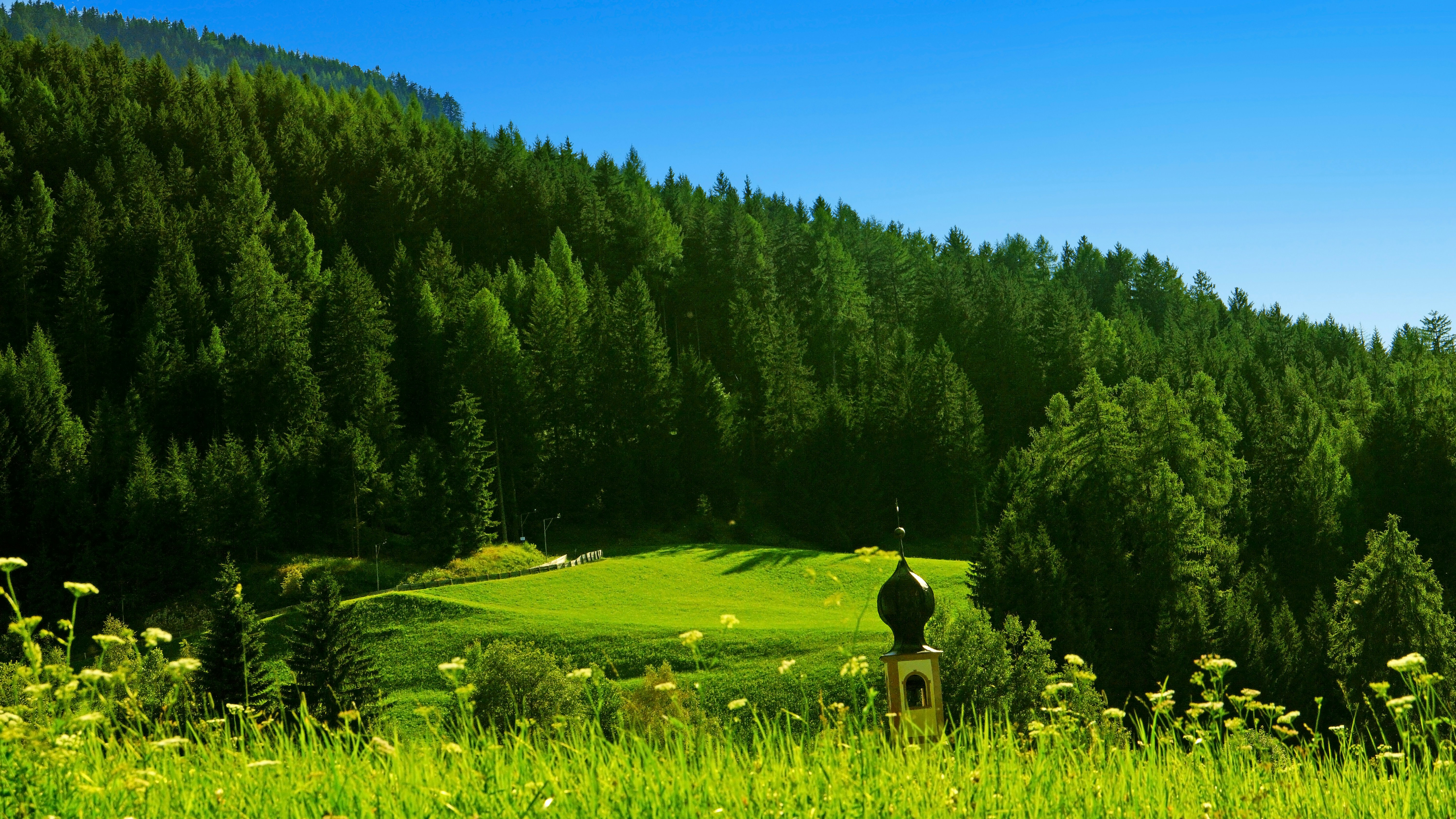 green grass field and green trees under blue sky during daytime, 